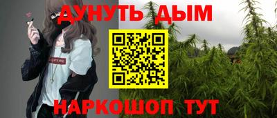 трава Кандалакша