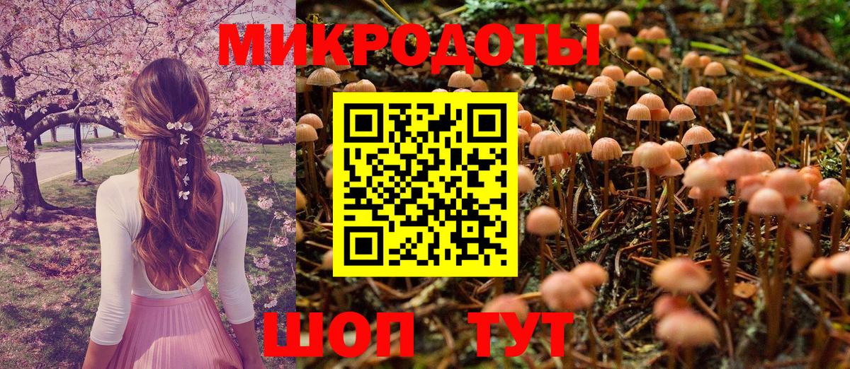 Псилоцибиновые грибы мухоморы Электросталь