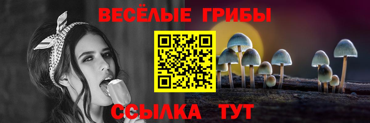 Галлюциногенные грибы Cubensis  наркота  Электросталь  Псилоцибиновые грибы Magic Shrooms  Вход с VPN 
